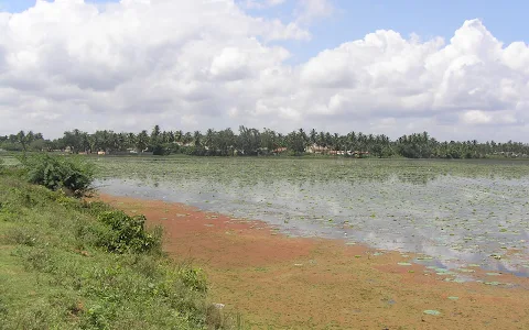 Malavalli Lake image