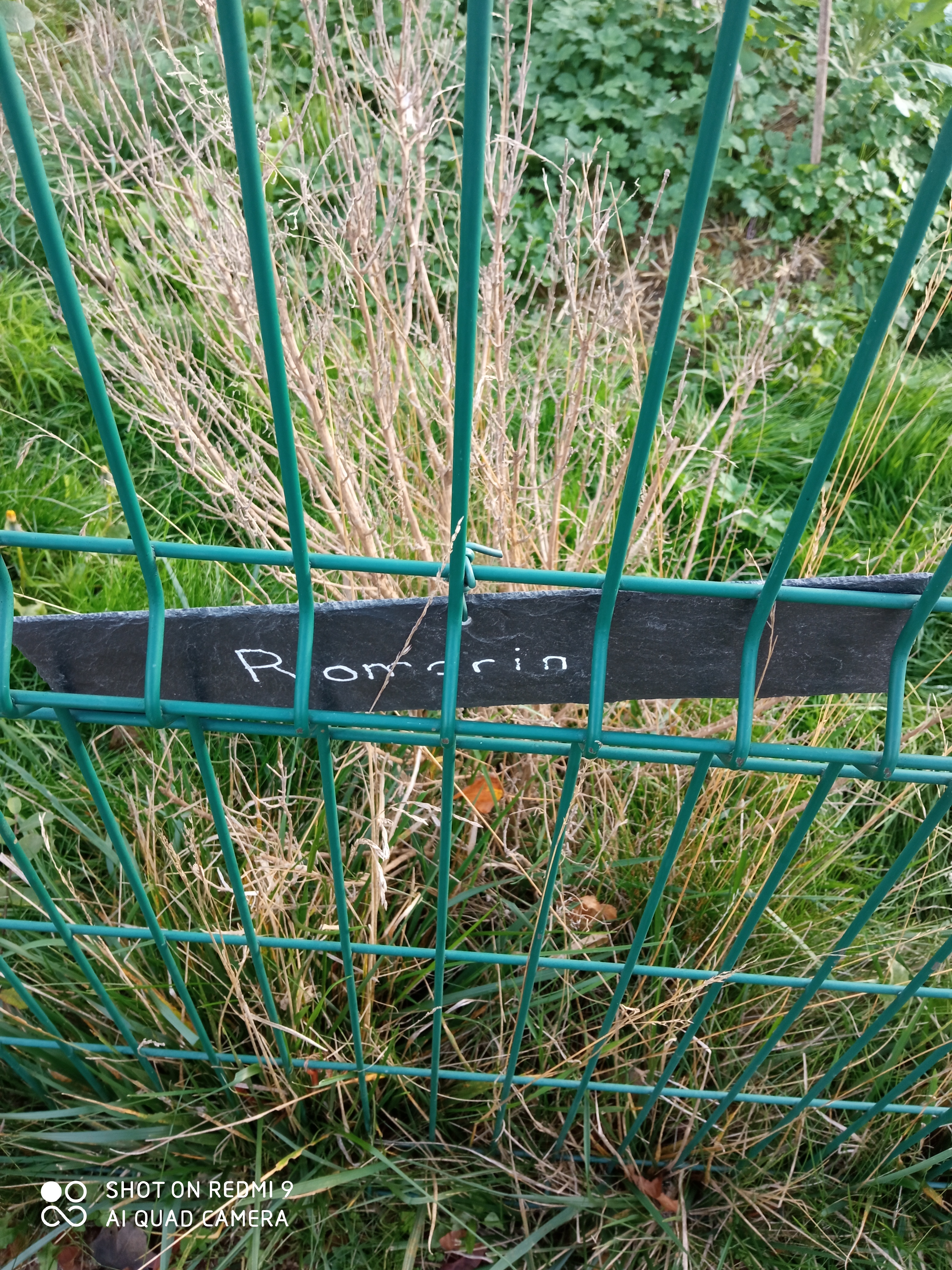 Photo n° 8 de l'avis de reseauoutremer.2 fait le 07/11/2020 à 18:39