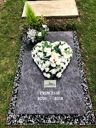 Photo n°2 de Au Paradis des Animaux à Forest-sur-Marque ()