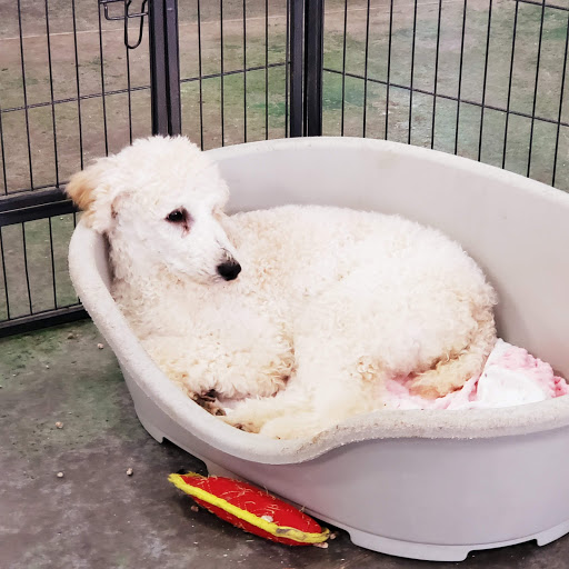 Pet Store «Animart», reviews and photos, 4303 E Towne Way, Madison, WI 53704, USA