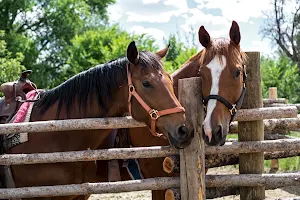 Red Horse Riding Company image