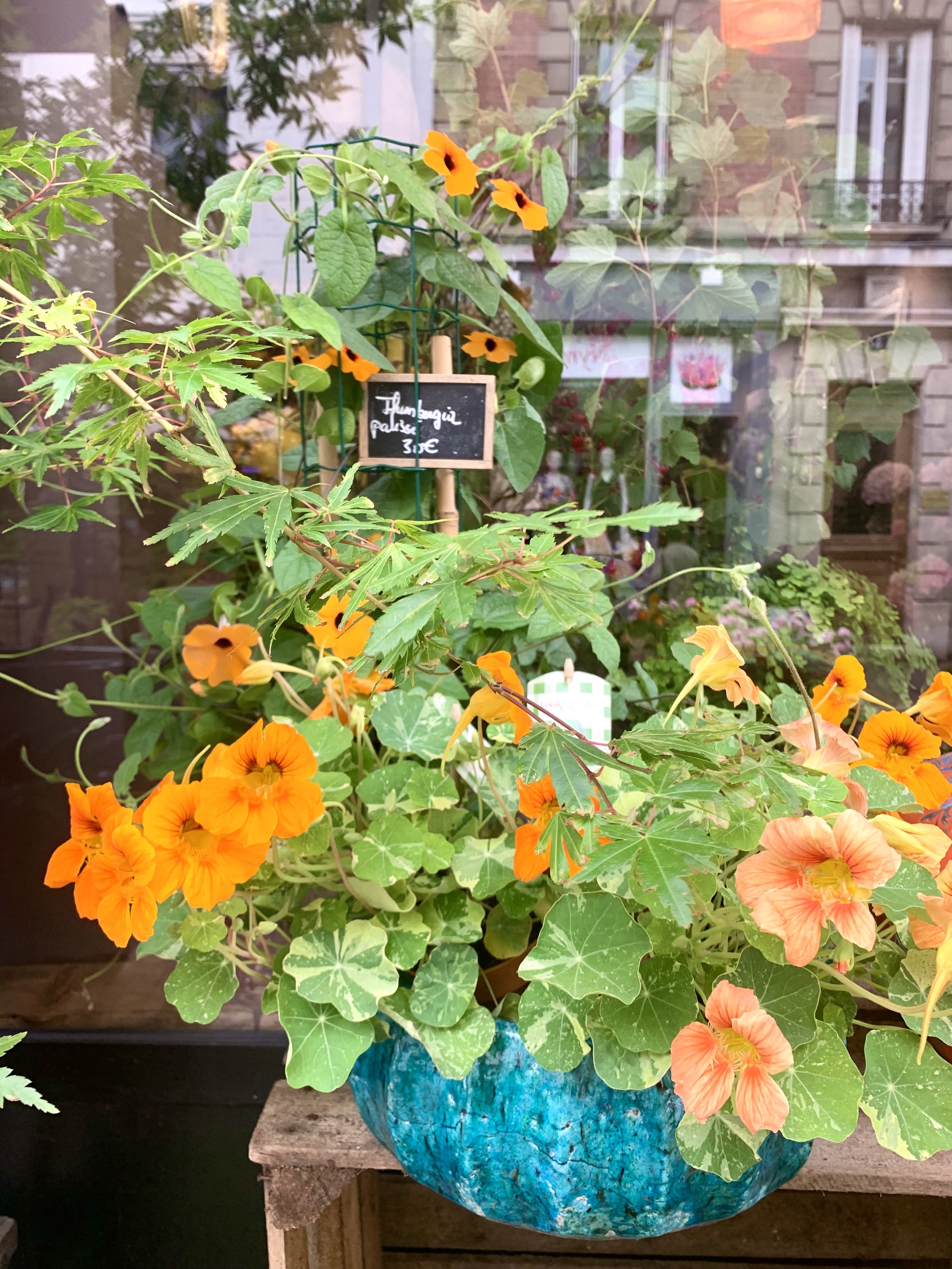 Photo n° 9 de l'avis de Robin. fait le 28/06/2021 à 14:05