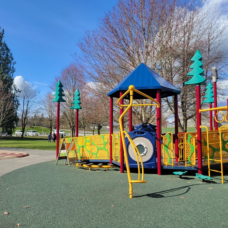 Skykomish River Park