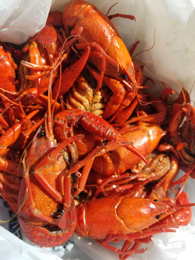 Grocery Store «Butcher Boy Grocery», reviews and photos, 58045 Belleview Dr, Plaquemine, LA 70764, USA