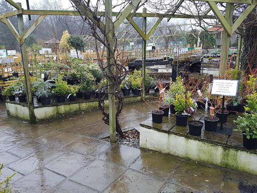 Brackenwood Plant & Garden Centre