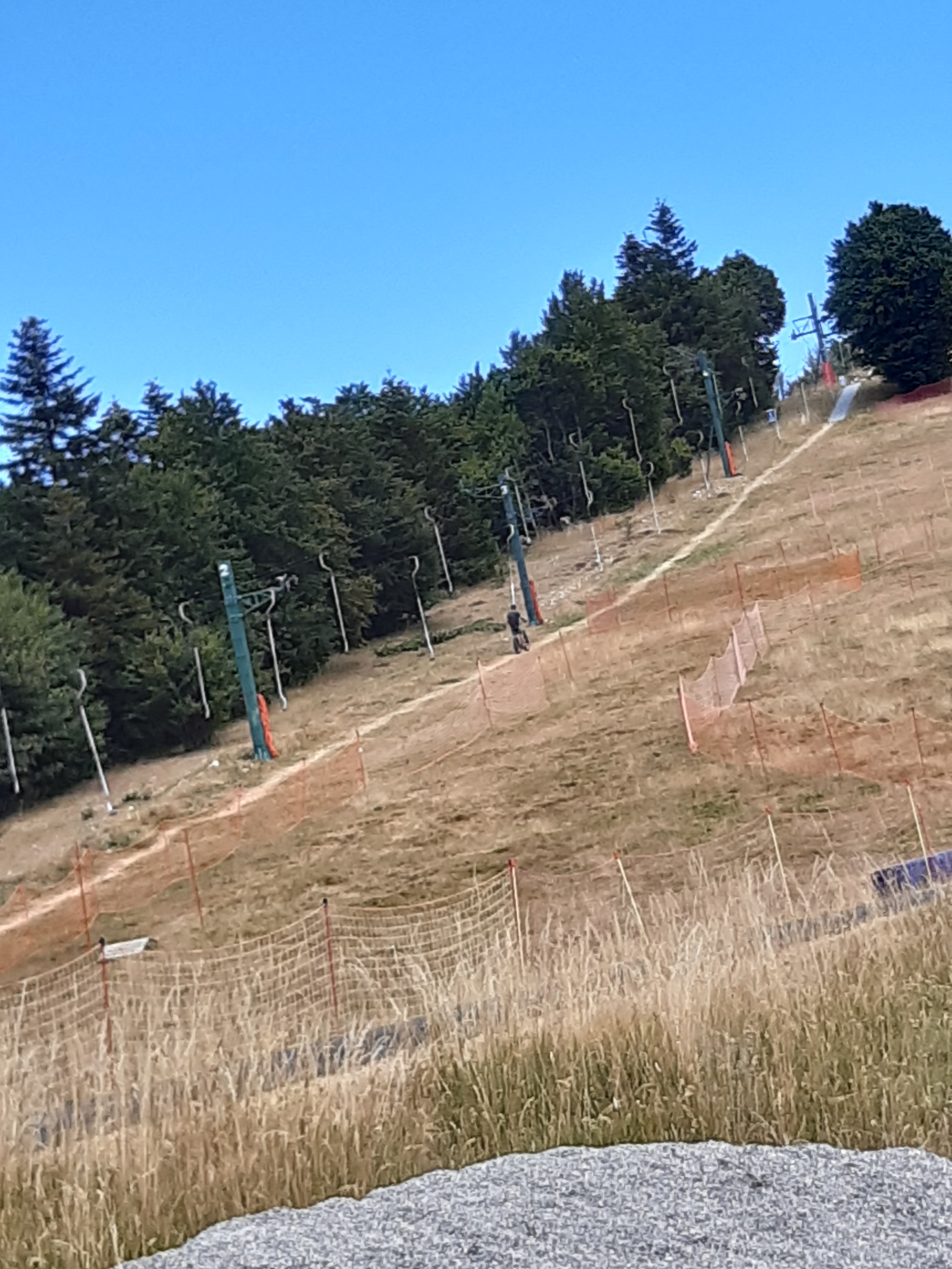 Photo n° 5 de l'avis de Laure.o fait le 14/08/2020 à 13:35