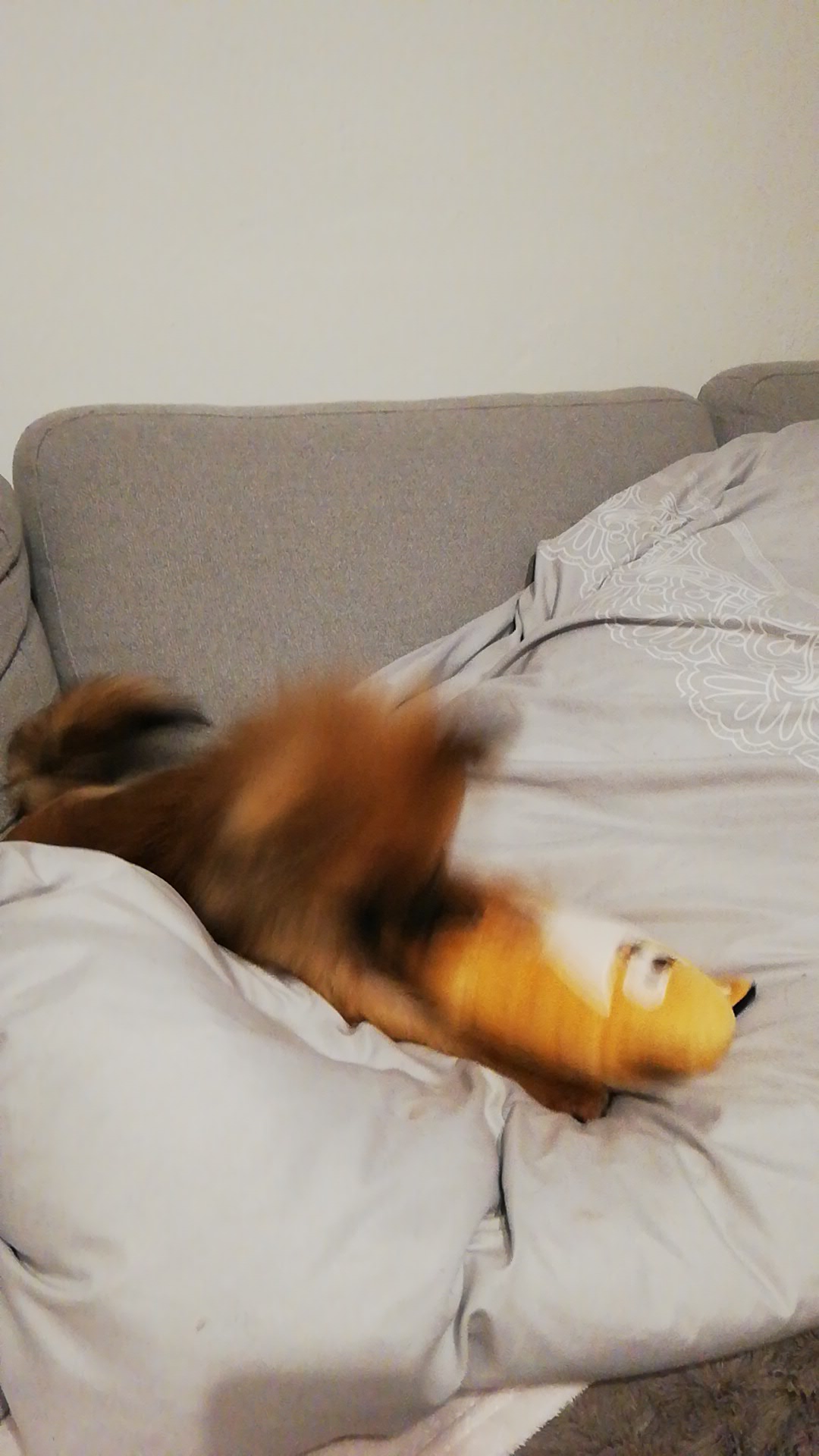 Photo n° 2 de l'avis de L'humain.e fait le 02/01/2020 à 16:46