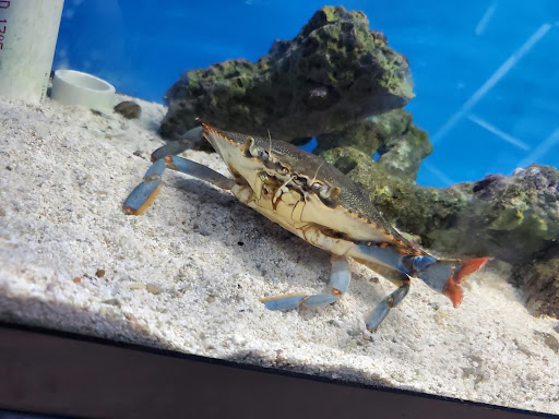 Pet Store «Aqua World Pet Super Center», reviews and photos, 8143 Ohio River Blvd, Pittsburgh, PA 15202, USA