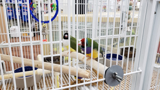 Pet Supply Store «Pet Supermarket», reviews and photos, 3848 Sun City Center Blvd Suite 107, Ruskin, FL 33573, USA