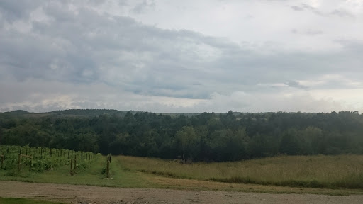 Winery «Liquid Art Winery And Estate», reviews and photos, 1745 Wildcat Creek Rd, Manhattan, KS 66503, USA
