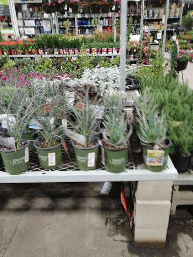 Home Improvement Store «The Home Depot», reviews and photos, 2115 N Gaffey St, San Pedro, CA 90731, USA