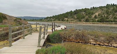 Aire de camping-car à Peyriac-de-Mer