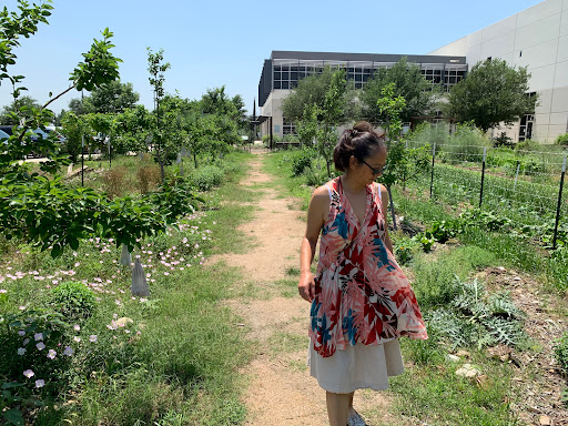 Non-Profit Organization «Central Texas Food Bank», reviews and photos