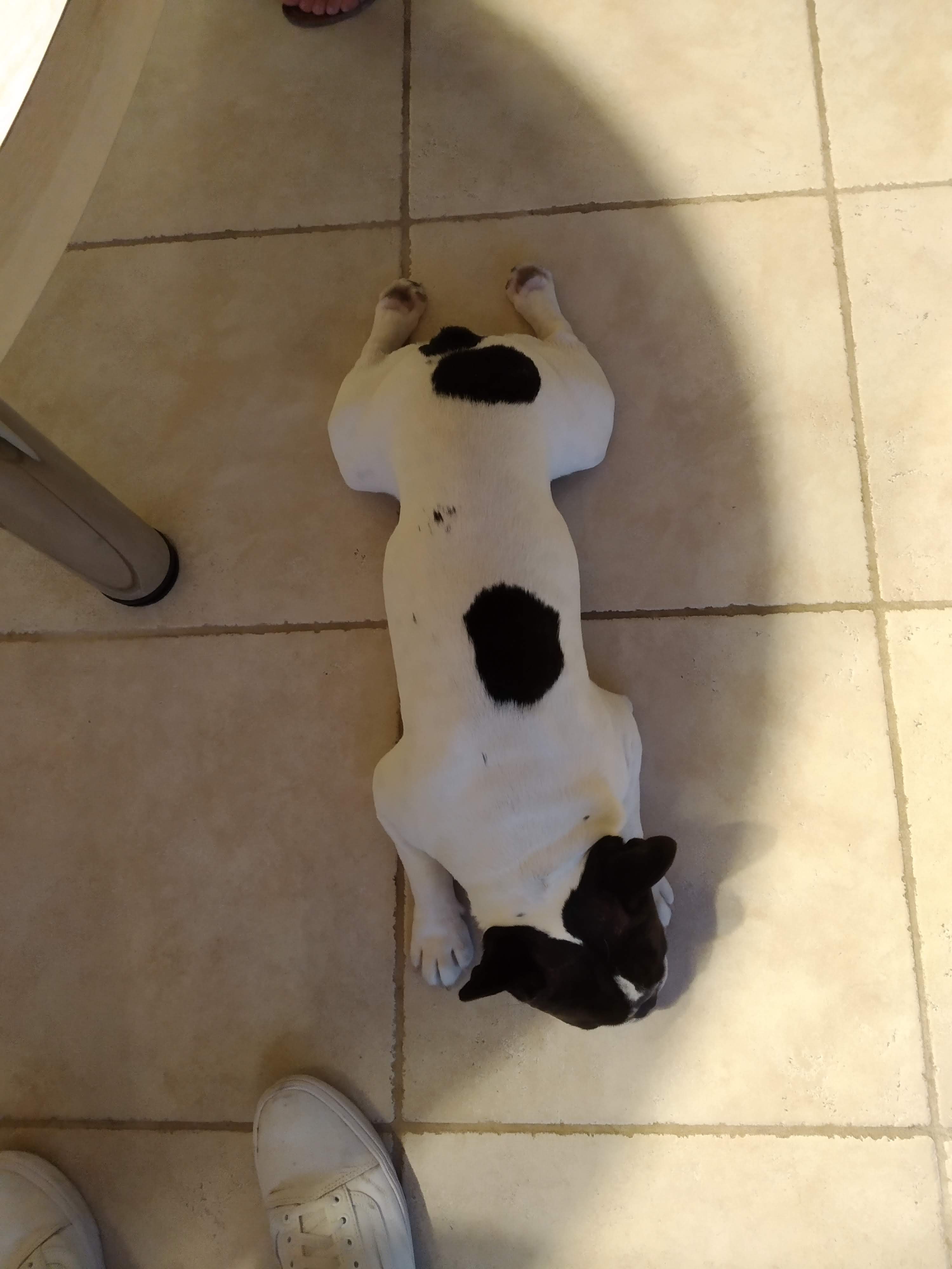 Photo n° 1 de l'avis de Alexandre.e fait le 16/08/2020 à 13:27