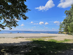 Surferstrand'in fotoğrafı çok temiz temizlik seviyesi ile