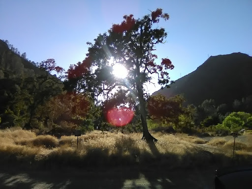 Nature Preserve «UC Davis - Stebbins Cold Canyon Natural Reserve», reviews and photos, CA-128, Winters, CA 95694, USA