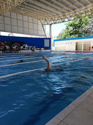 Competencia de natación Mérida