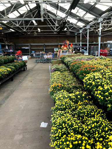 Department Store «Walmart Supercenter», reviews and photos, 1351 Veterans Pkwy, Clarksville, IN 47129, USA