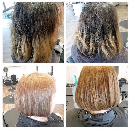 Hair Salon «Fantastic Sams Cut & Color», reviews and photos, 182 W State Rd 434 #1004, Longwood, FL 32750, USA