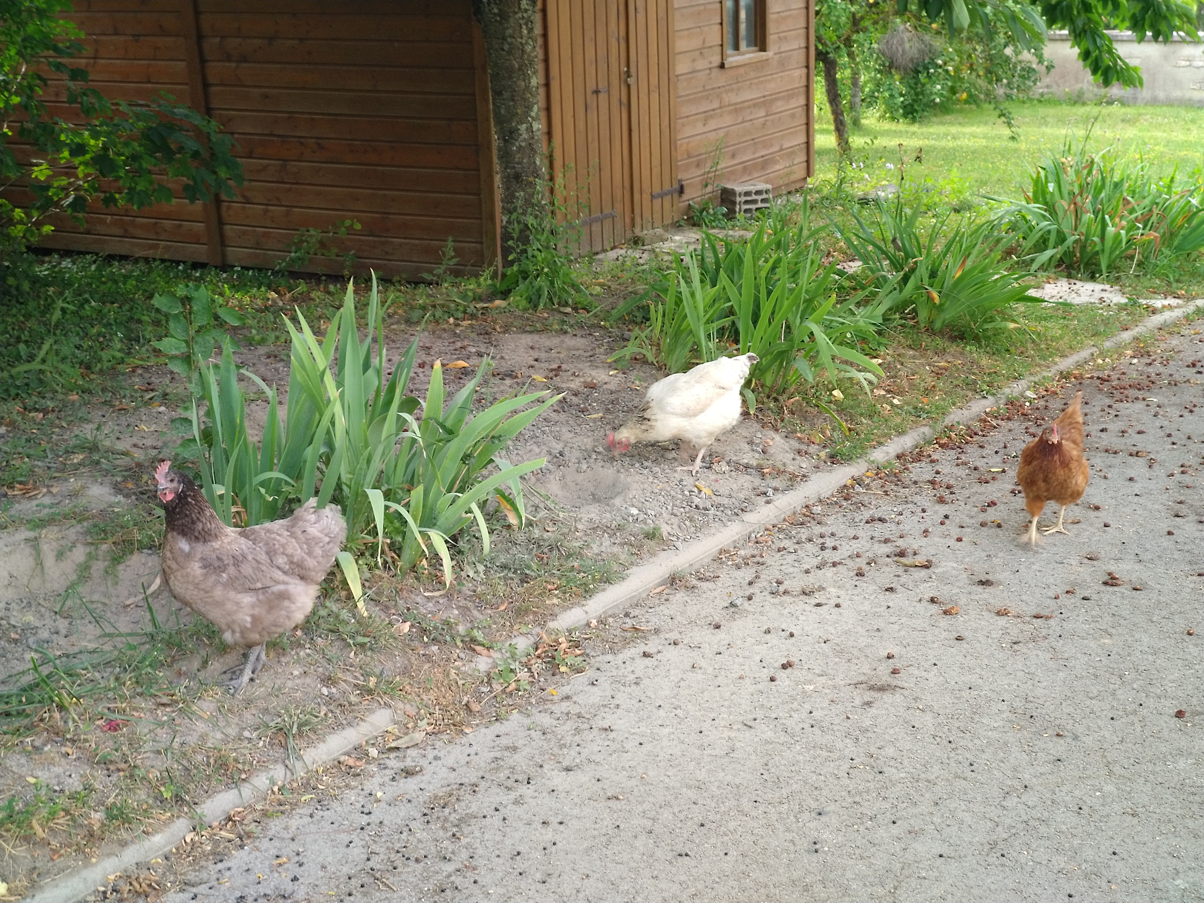 Photo n° 2 de l'avis de Niklas.s fait le 05/07/2018 à 17:43