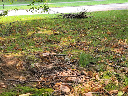 Dog Park «Brookdale Dog Park», reviews and photos, W Circuit Dr, Montclair, NJ 07043, USA