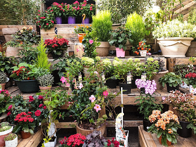Monceau Fleurs à Maisons-Alfort