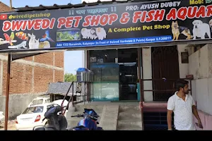 Dwivedi Pet Shop & Fish Aquariums - Best pet shop in Kalyanpur | Pet hostel | Pet Grooming image