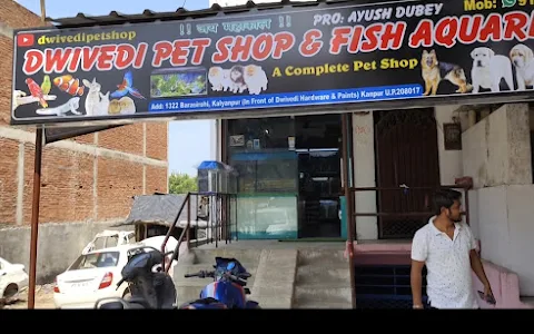 Dwivedi Pet Shop & Fish Aquariums - Best pet shop in Kalyanpur | Pet hostel | Pet Grooming image
