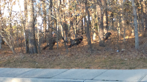 Self-Storage Facility «Simply Self Storage - Bayport», reviews and photos, 709 Church St, Bayport, NY 11705, USA