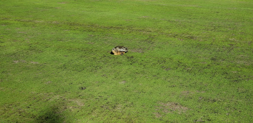 Golf Course «Greendale Golf Course», reviews and photos, 6700 Telegraph Rd, Alexandria, VA 22310, USA