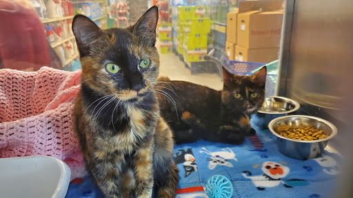 Pet Supply Store «PetSmart», reviews and photos, 3585 N Shiloh Dr, Fayetteville, AR 72703, USA