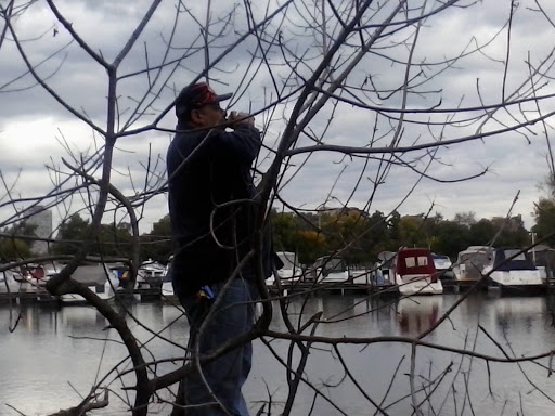 Golf Course «Jackson Park Golf Course», reviews and photos, 6401 S Richards Dr, Chicago, IL 60649, USA