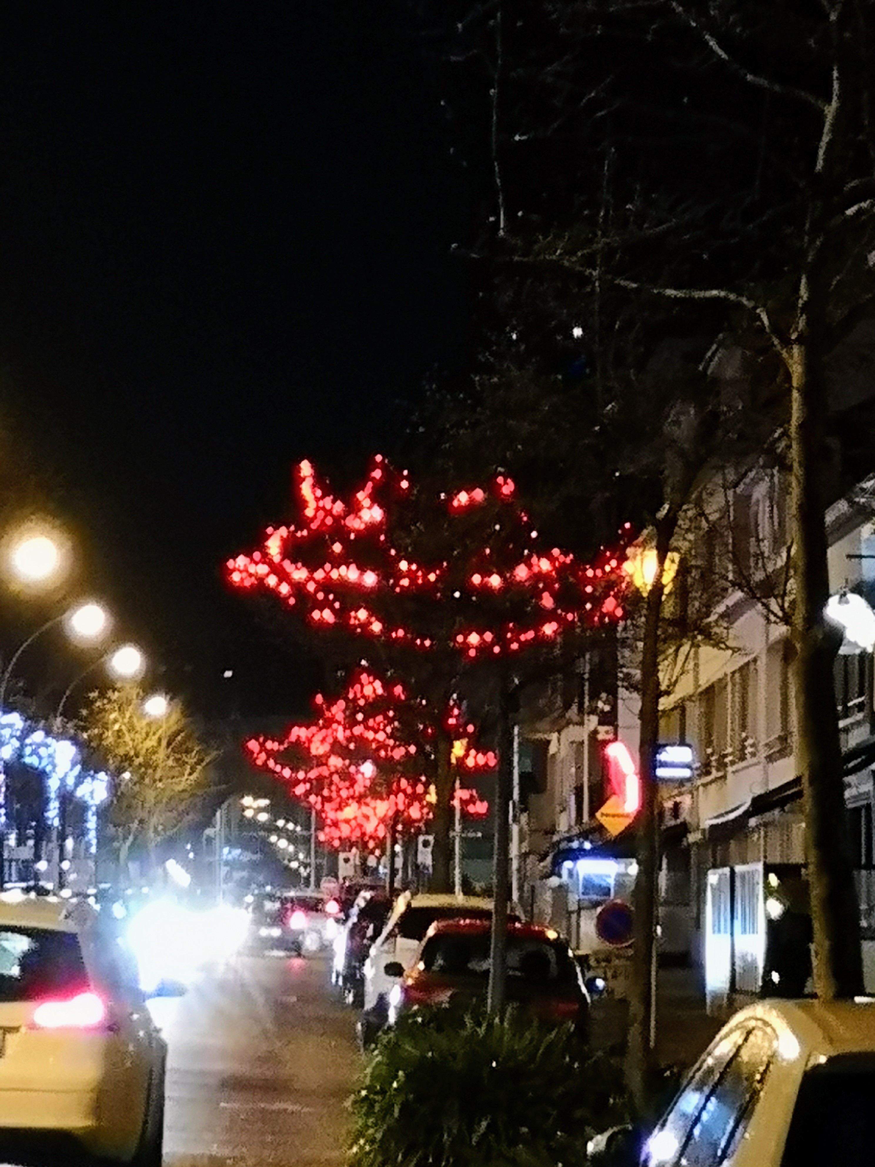 Photo n° 15 de l'avis de Stéphane.e fait le 06/01/2022 à 19:29