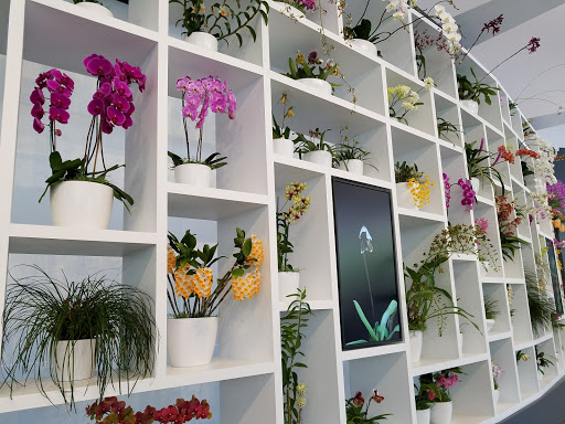 Art Museum «Hirshhorn Museum», reviews and photos, Independence Ave SW, Washington, DC 20024, USA