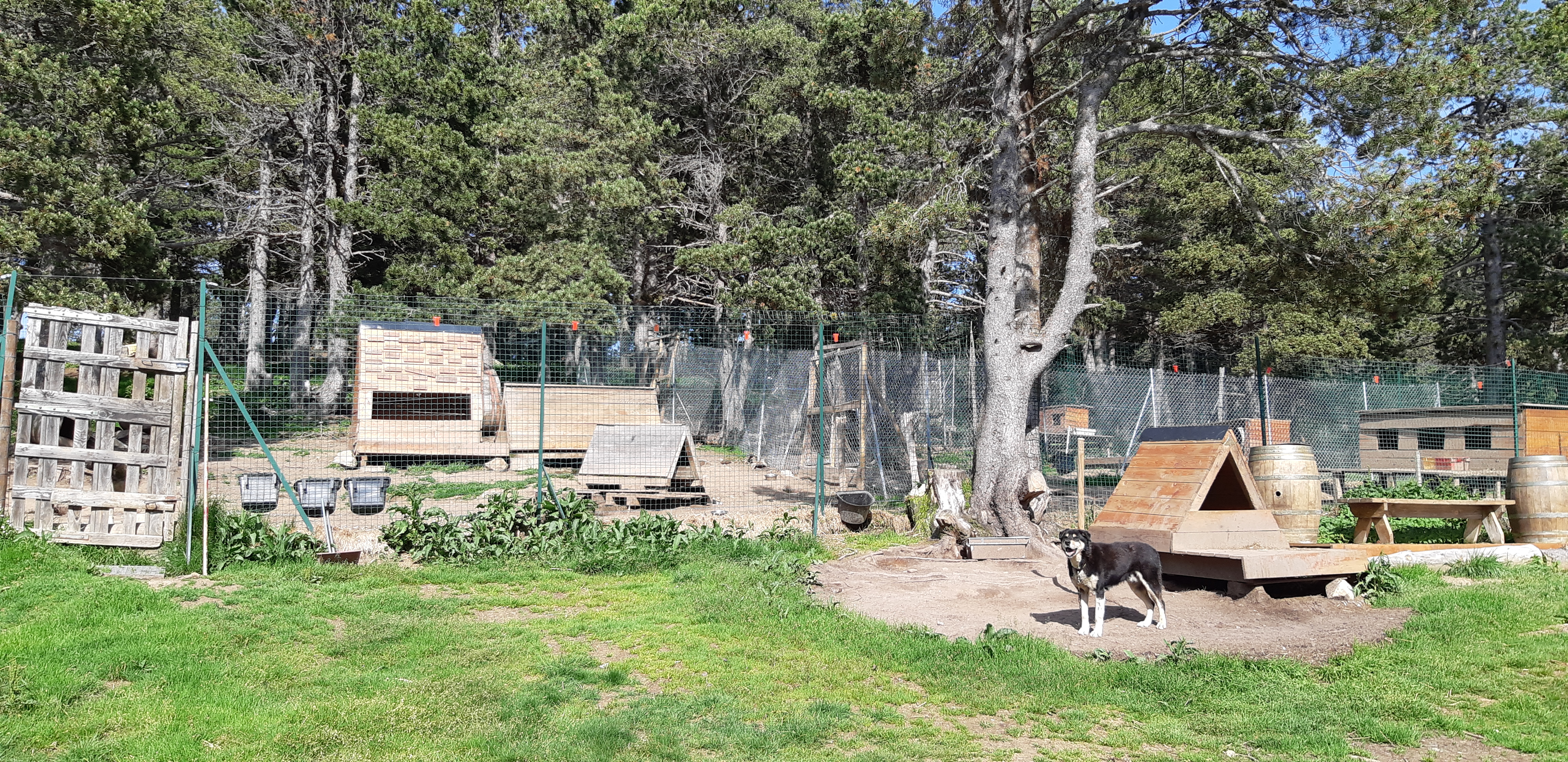 Photo n° 4 de l'avis de Yannick.a fait le 23/06/2019 à 21:16