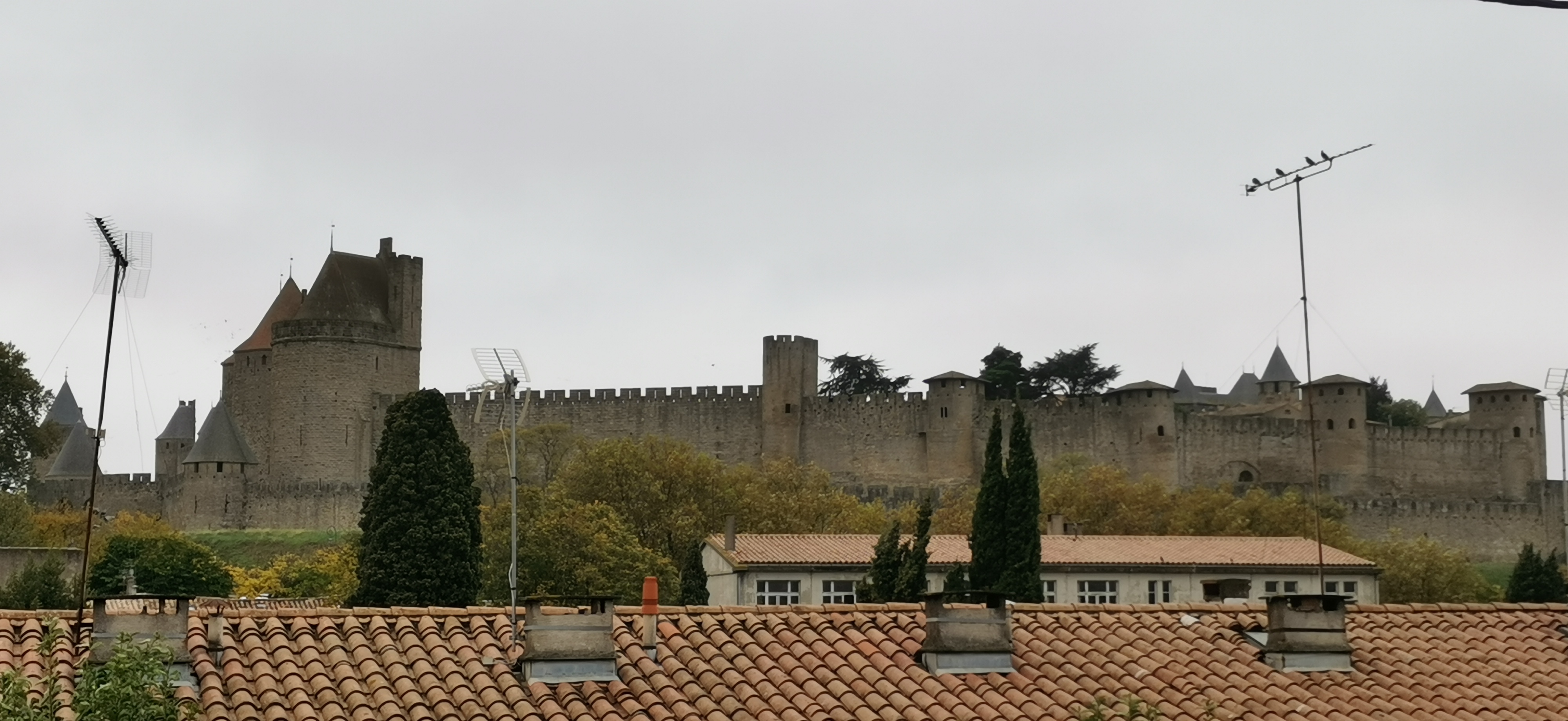 Photo n° 2 de l'avis de Ma. fait le 11/11/2021 à 14:41