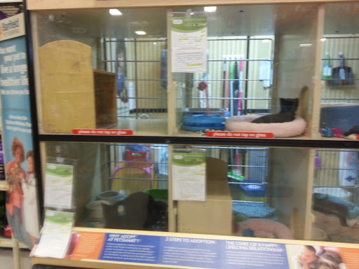 Pet Supply Store «PetSmart», reviews and photos, 10363 Fairway Dr, Roseville, CA 95678, USA