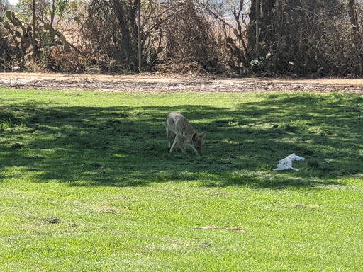 Golf Course «Hansen Dam Golf Course», reviews and photos, 10400 Glenoaks Blvd, Pacoima, CA 91331, USA