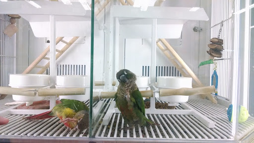 Pet Supply Store «Petco Animal Supplies», reviews and photos, 7400 Rivers Ave z, North Charleston, SC 29406, USA