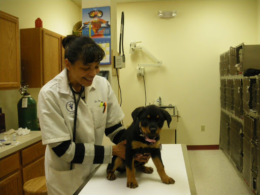 Alpha Veterinary Center image