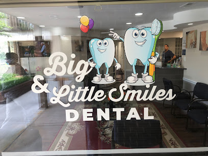 Big and Little Smiles Dental