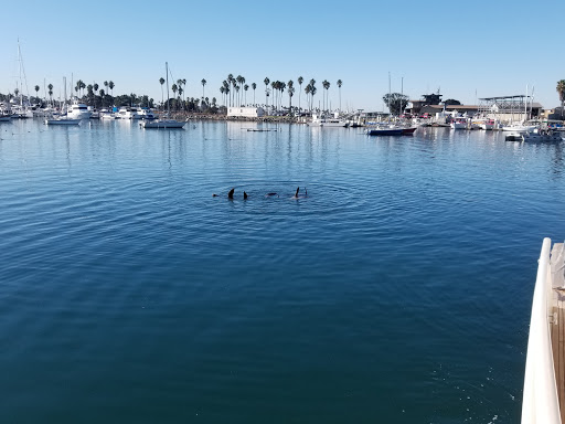 San Diego Boat Tours