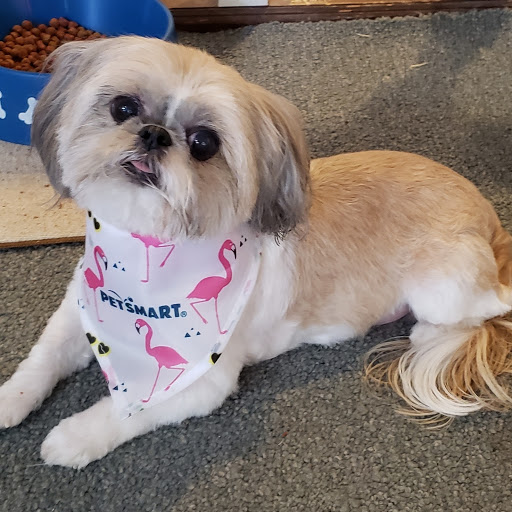 Pet Supply Store «PetSmart», reviews and photos, 1040 Cross Creek Dr, Saltillo, MS 38866, USA