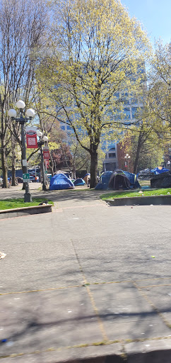 Park «City Hall Park», reviews and photos, 450 3rd Ave, Seattle, WA 98104, USA