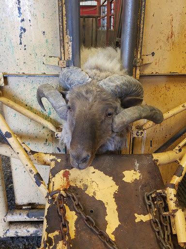 Lyman Vet Clinic image