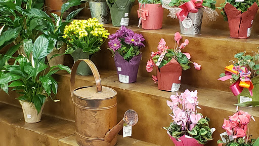 Grocery Store «Safeway», reviews and photos, 7561 W 80th Ave, Arvada, CO 80003, USA