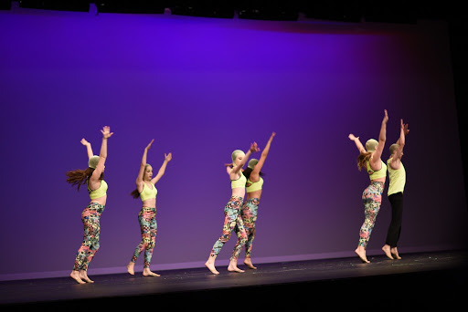 Dance School «Supreme Dance Studio», reviews and photos, 4055 Oakton St, Skokie, IL 60076, USA