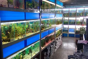 Aquarium Zoo image