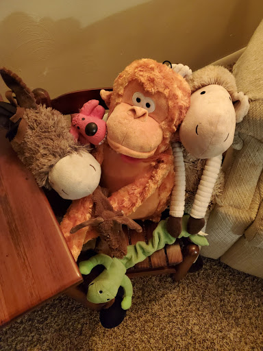 Pet Supply Store «Pet Supplies Plus», reviews and photos, 4920 Wilson Ave SW Suite 100, Grandville, MI 49418, USA