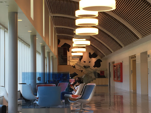 Ice Cream Shop «Cornell Dairy Bar», reviews and photos, 411 Tower Rd, Ithaca, NY 14853, USA